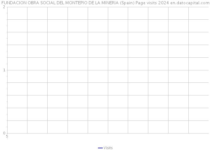 FUNDACION OBRA SOCIAL DEL MONTEPIO DE LA MINERIA (Spain) Page visits 2024 