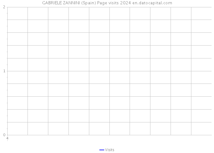 GABRIELE ZANNINI (Spain) Page visits 2024 