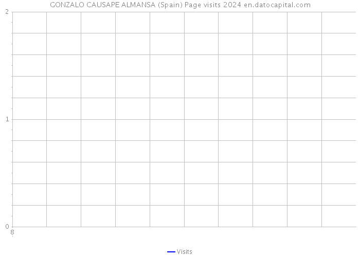 GONZALO CAUSAPE ALMANSA (Spain) Page visits 2024 