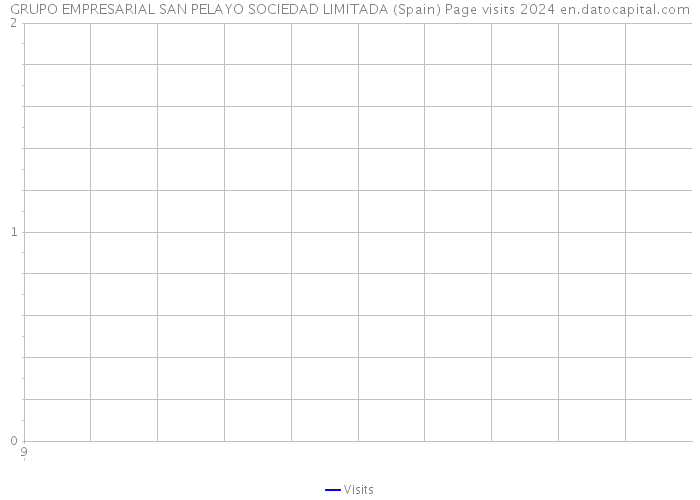 GRUPO EMPRESARIAL SAN PELAYO SOCIEDAD LIMITADA (Spain) Page visits 2024 