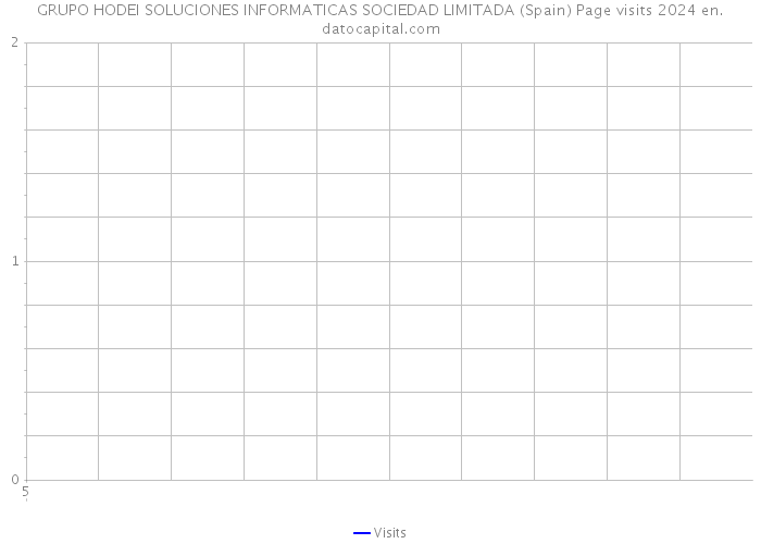 GRUPO HODEI SOLUCIONES INFORMATICAS SOCIEDAD LIMITADA (Spain) Page visits 2024 