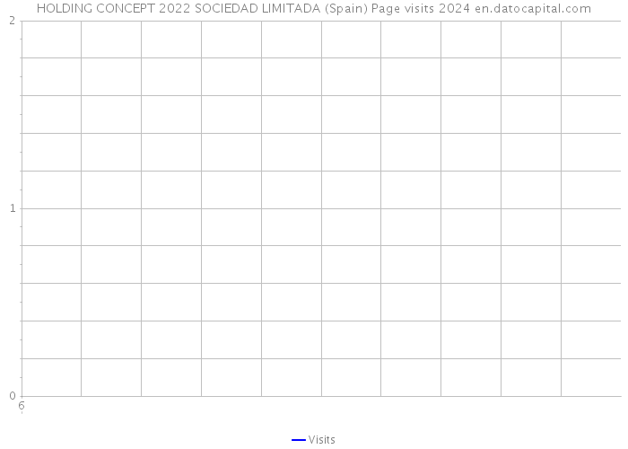 HOLDING CONCEPT 2022 SOCIEDAD LIMITADA (Spain) Page visits 2024 