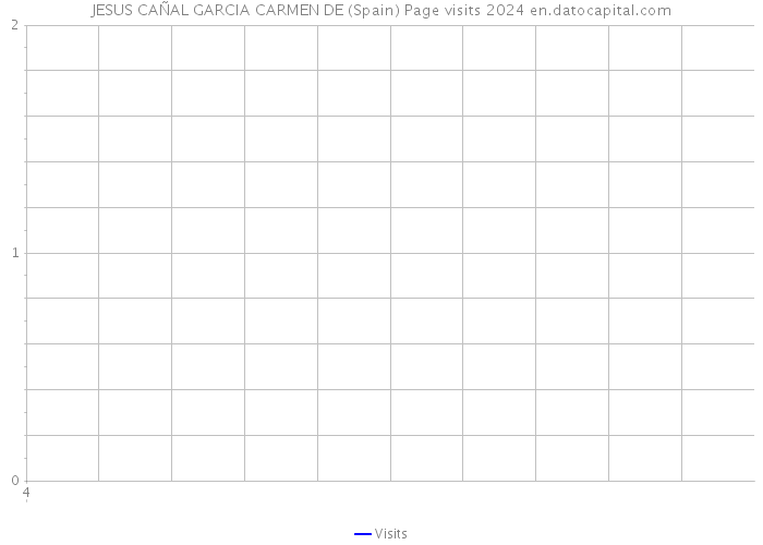 JESUS CAÑAL GARCIA CARMEN DE (Spain) Page visits 2024 