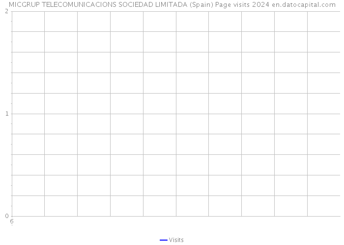 MICGRUP TELECOMUNICACIONS SOCIEDAD LIMITADA (Spain) Page visits 2024 