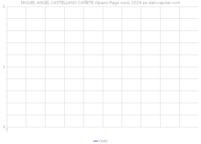 MIGUEL ANGEL CASTELLANO CAÑETE (Spain) Page visits 2024 