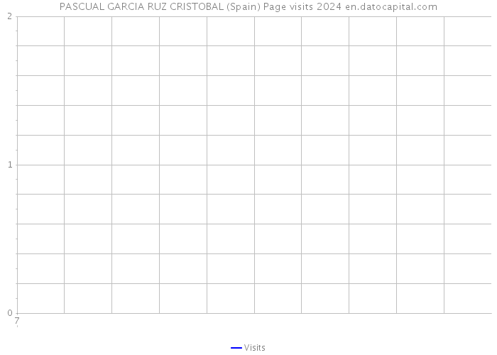 PASCUAL GARCIA RUZ CRISTOBAL (Spain) Page visits 2024 