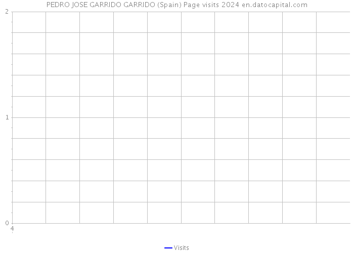 PEDRO JOSE GARRIDO GARRIDO (Spain) Page visits 2024 