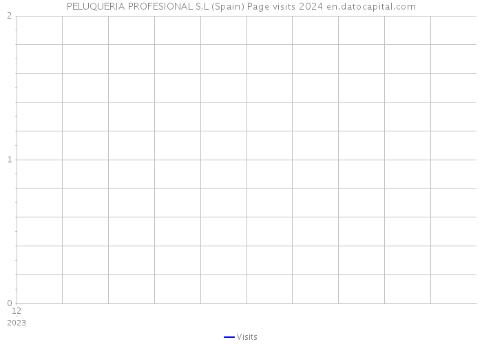 PELUQUERIA PROFESIONAL S.L (Spain) Page visits 2024 