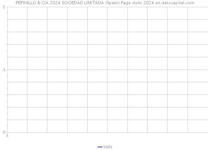 PEPINILLO & CIA 2024 SOCIEDAD LIMITADA (Spain) Page visits 2024 