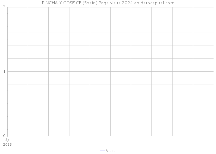 PINCHA Y COSE CB (Spain) Page visits 2024 