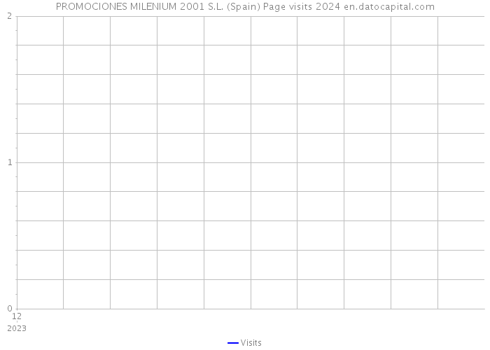 PROMOCIONES MILENIUM 2001 S.L. (Spain) Page visits 2024 