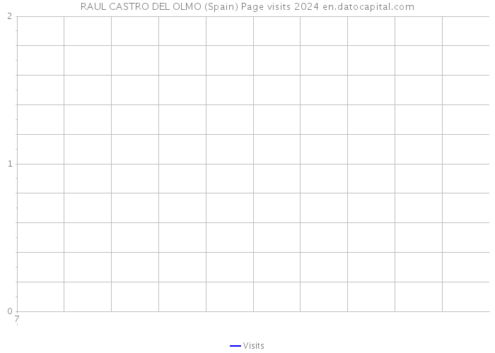 RAUL CASTRO DEL OLMO (Spain) Page visits 2024 