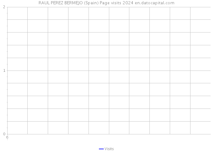 RAUL PEREZ BERMEJO (Spain) Page visits 2024 