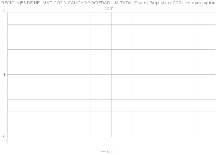 RECICLAJES DE NEUMATICOS Y CAUCHO SOCIEDAD LIMITADA (Spain) Page visits 2024 