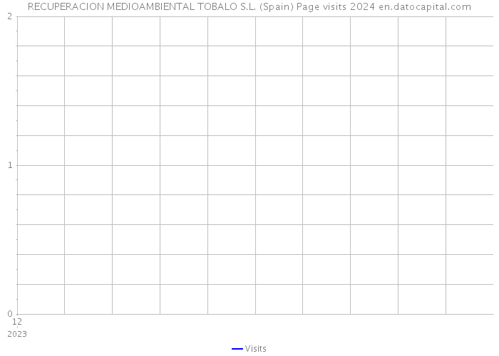 RECUPERACION MEDIOAMBIENTAL TOBALO S.L. (Spain) Page visits 2024 