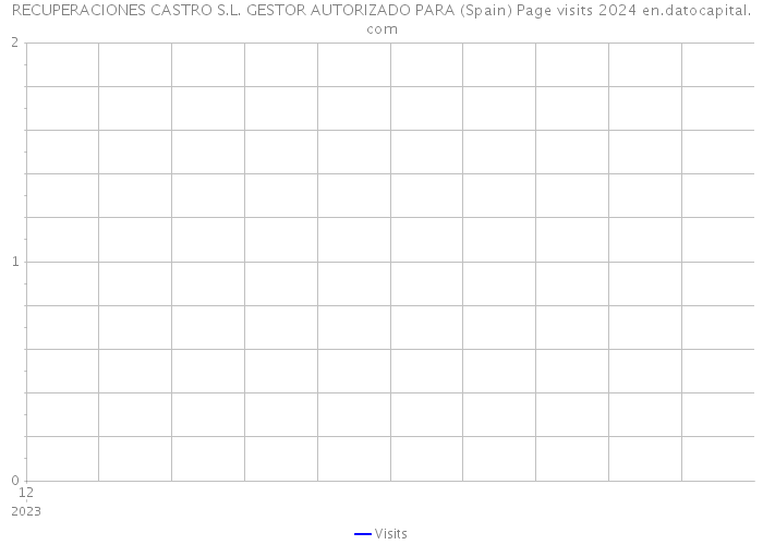 RECUPERACIONES CASTRO S.L. GESTOR AUTORIZADO PARA (Spain) Page visits 2024 