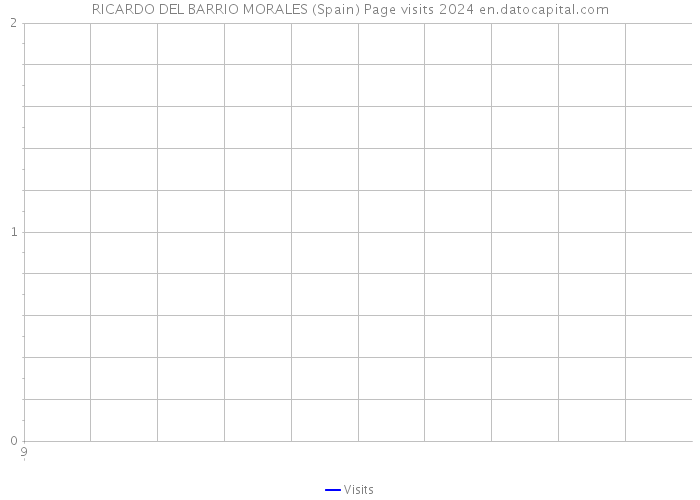 RICARDO DEL BARRIO MORALES (Spain) Page visits 2024 