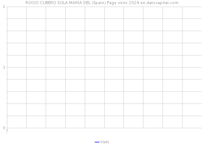 ROCIO CUBERO SOLA MARIA DEL (Spain) Page visits 2024 