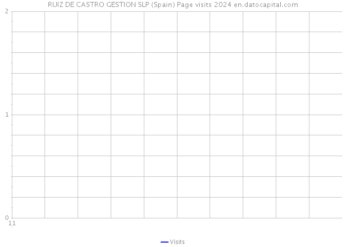 RUIZ DE CASTRO GESTION SLP (Spain) Page visits 2024 