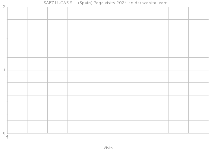 SAEZ LUCAS S.L. (Spain) Page visits 2024 