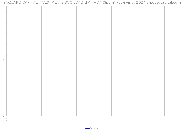 SAGUARO CAPITAL INVESTMENTS SOCIEDAD LIMITADA (Spain) Page visits 2024 