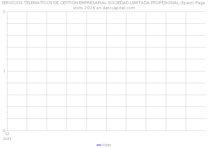 SERVICIOS TELEMATICOS DE GESTION EMPRESARIAL SOCIEDAD LIMITADA PROFESIONAL (Spain) Page visits 2024 