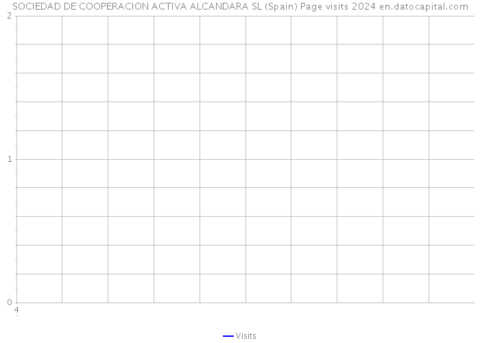 SOCIEDAD DE COOPERACION ACTIVA ALCANDARA SL (Spain) Page visits 2024 