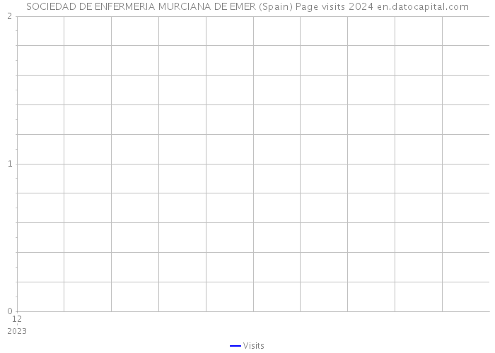 SOCIEDAD DE ENFERMERIA MURCIANA DE EMER (Spain) Page visits 2024 