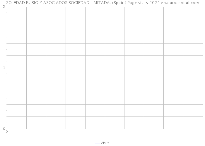 SOLEDAD RUBIO Y ASOCIADOS SOCIEDAD LIMITADA. (Spain) Page visits 2024 