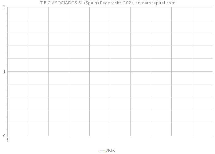 T E C ASOCIADOS SL (Spain) Page visits 2024 