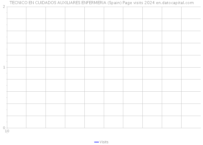 TECNICO EN CUIDADOS AUXILIARES ENFERMERIA (Spain) Page visits 2024 