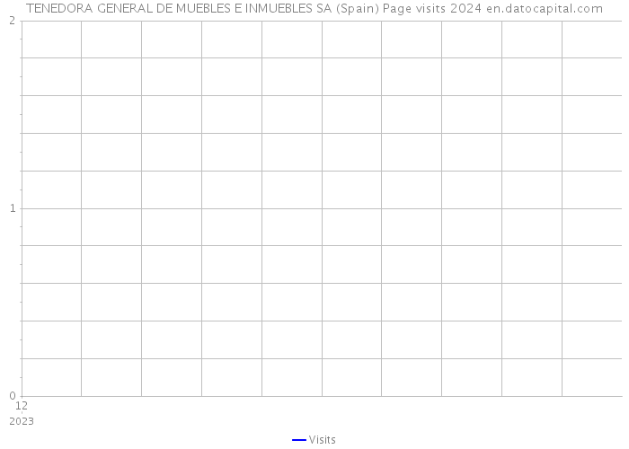 TENEDORA GENERAL DE MUEBLES E INMUEBLES SA (Spain) Page visits 2024 