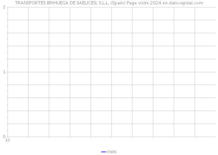 TRANSPORTES BRIHUEGA DE SAELICES; S.L.L. (Spain) Page visits 2024 