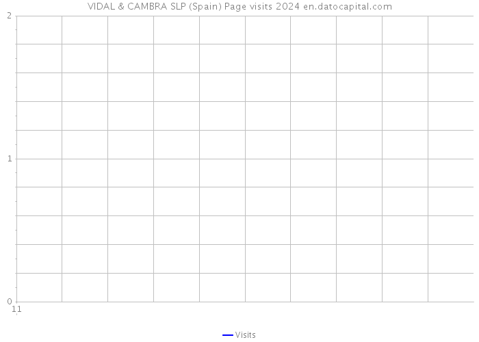 VIDAL & CAMBRA SLP (Spain) Page visits 2024 