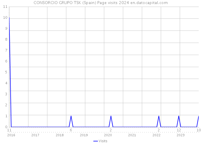 CONSORCIO GRUPO TSK (Spain) Page visits 2024 