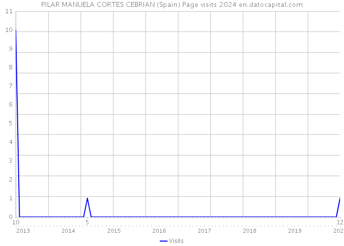 PILAR MANUELA CORTES CEBRIAN (Spain) Page visits 2024 