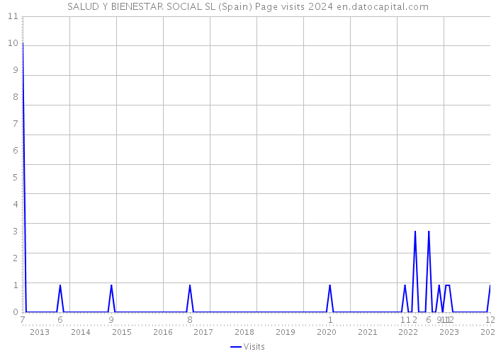 SALUD Y BIENESTAR SOCIAL SL (Spain) Page visits 2024 