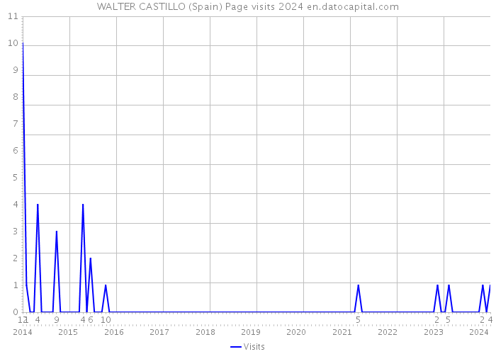 WALTER CASTILLO (Spain) Page visits 2024 