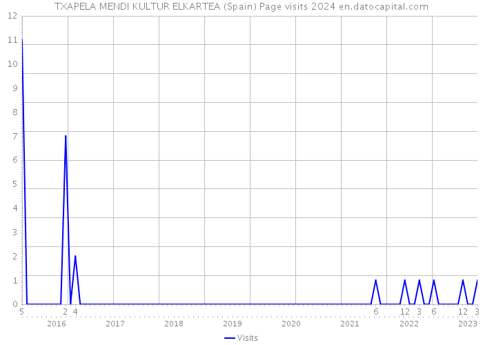 TXAPELA MENDI KULTUR ELKARTEA (Spain) Page visits 2024 