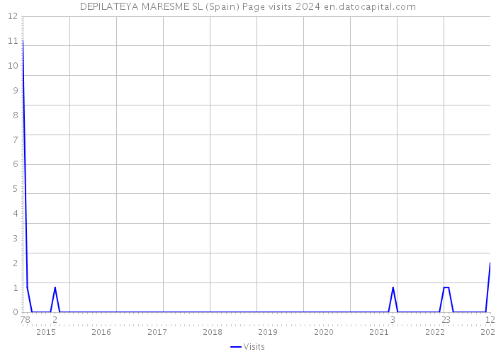 DEPILATEYA MARESME SL (Spain) Page visits 2024 