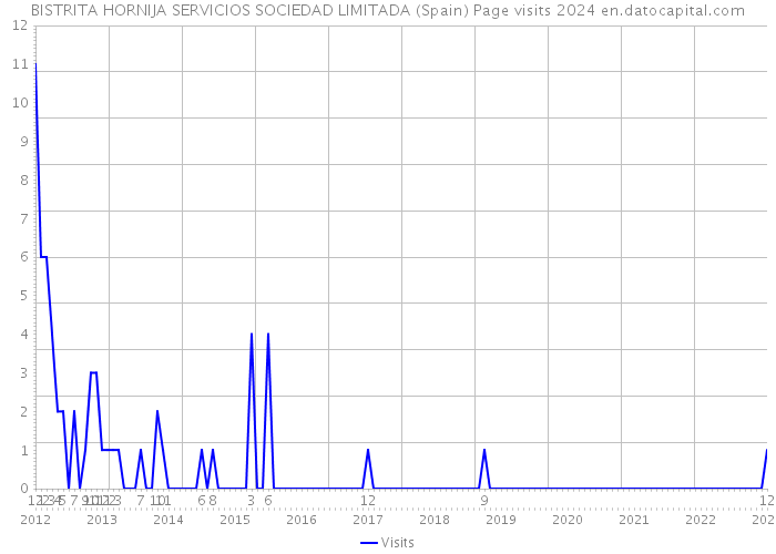 BISTRITA HORNIJA SERVICIOS SOCIEDAD LIMITADA (Spain) Page visits 2024 