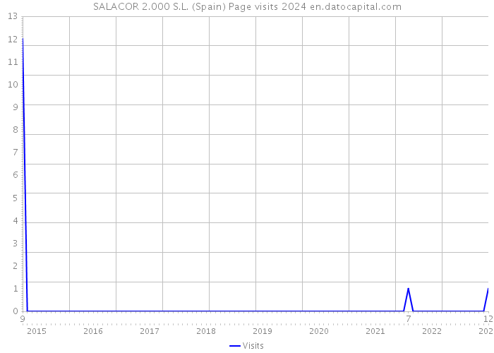 SALACOR 2.000 S.L. (Spain) Page visits 2024 