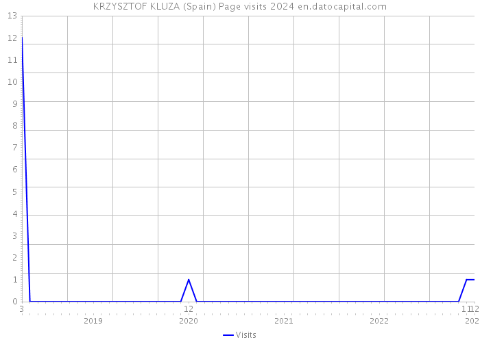 KRZYSZTOF KLUZA (Spain) Page visits 2024 