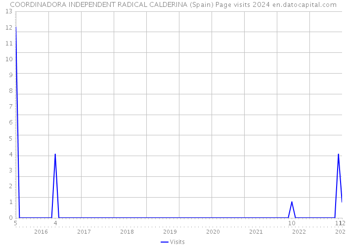 COORDINADORA INDEPENDENT RADICAL CALDERINA (Spain) Page visits 2024 