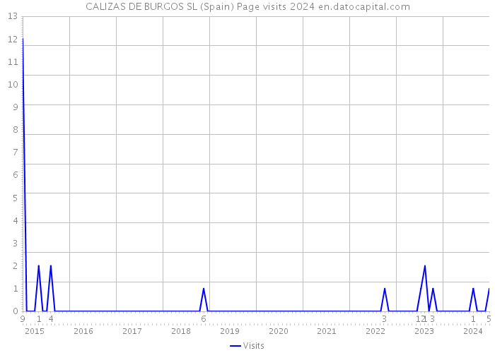 CALIZAS DE BURGOS SL (Spain) Page visits 2024 