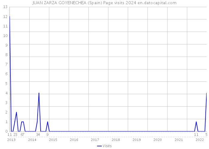 JUAN ZARZA GOYENECHEA (Spain) Page visits 2024 