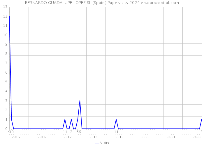 BERNARDO GUADALUPE LOPEZ SL (Spain) Page visits 2024 