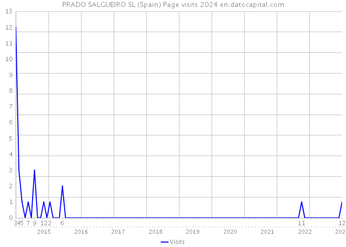 PRADO SALGUEIRO SL (Spain) Page visits 2024 