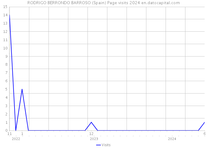 RODRIGO BERRONDO BARROSO (Spain) Page visits 2024 