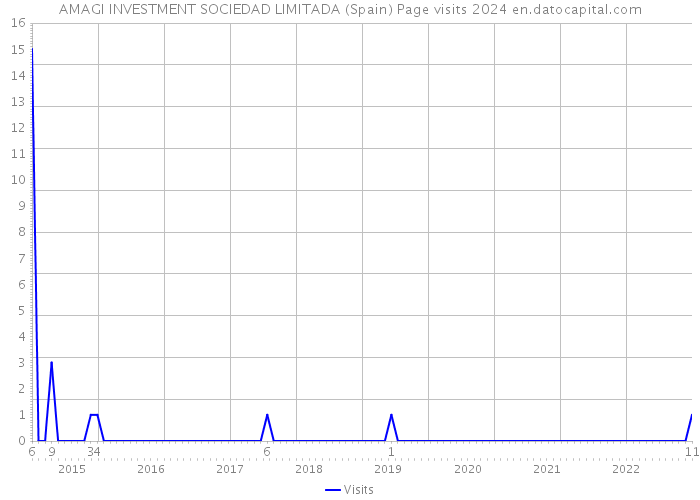 AMAGI INVESTMENT SOCIEDAD LIMITADA (Spain) Page visits 2024 